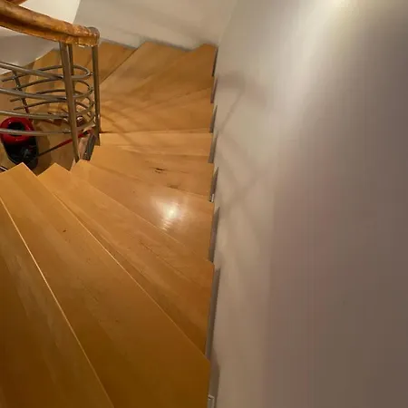 Kauris * Гданьск