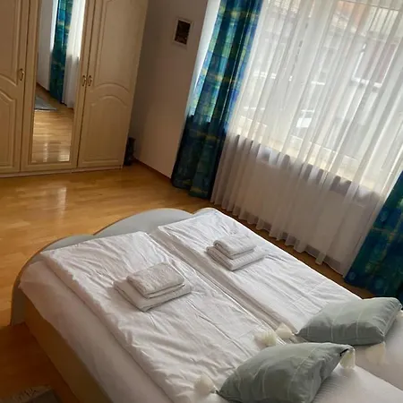 Kauris * Гданьск